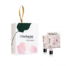 ella bache roses